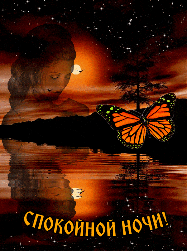 Открытка «Доброй ночи»: Открытка Доброй ночи с бабочкой и закатом. Тэги: Спокойной ночи, любимая женщина, любимая дев…
