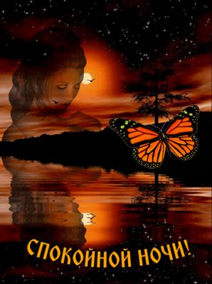 Открытка «Доброй ночи»: Открытка Доброй ночи с бабочкой и закатом. Тэги: Спокойной ночи, любимая женщина, любимая дев…