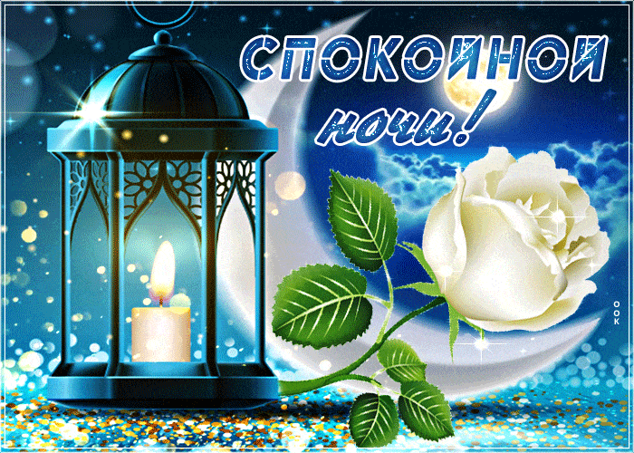 Открытка «Доброй ночи»: Спокойной ночи: красивая открытка с белой розой. Тэги: Спокойной ночи, Спокойной ночи, красив…