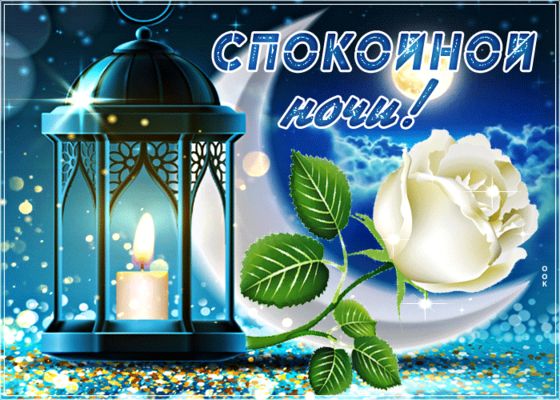 Открытка «Доброй ночи»: Спокойной ночи: красивая открытка с белой розой. Тэги: Спокойной ночи, Спокойной ночи, красив…