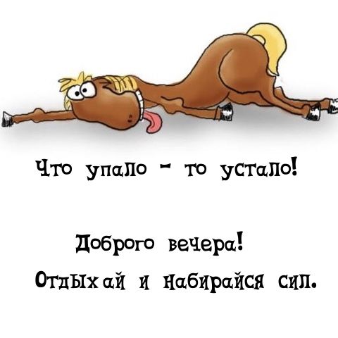 Открытка «Для поднятия настроения»: Добрый вечер! Прикольная открытка для отдыха. Тэги: Добрый вечер и пожелания…