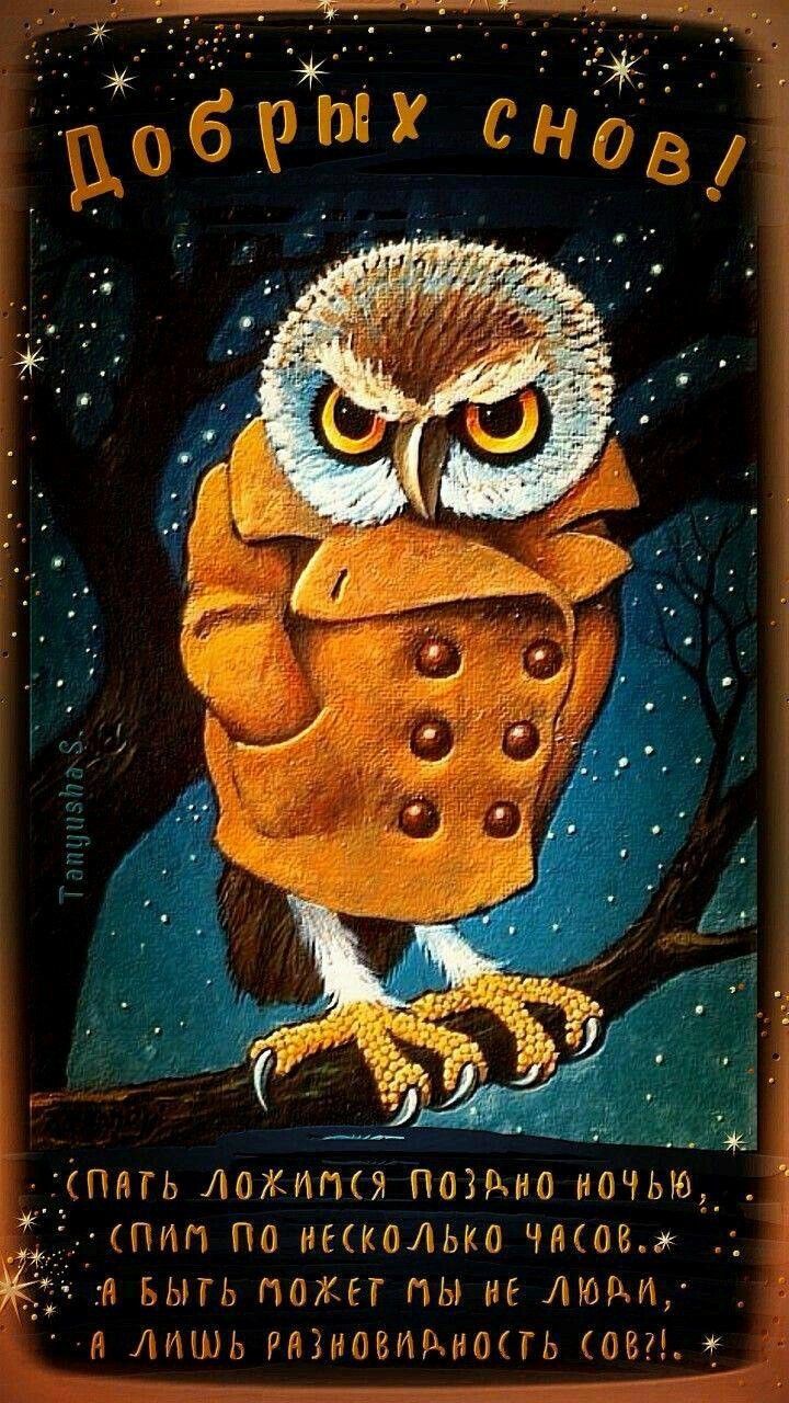 Открытка «Доброй ночи»: Доброй ночи: прикольная сова для отличного настроения. Тэги: Спокойной ночи, Спокойной ночи…