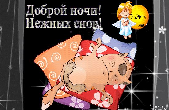 Открытка «Доброй ночи»: Доброй ночи: милый кот и пожелание нежных снов. Тэги: Спокойной ночи, Спокойной ночи, с пожел…