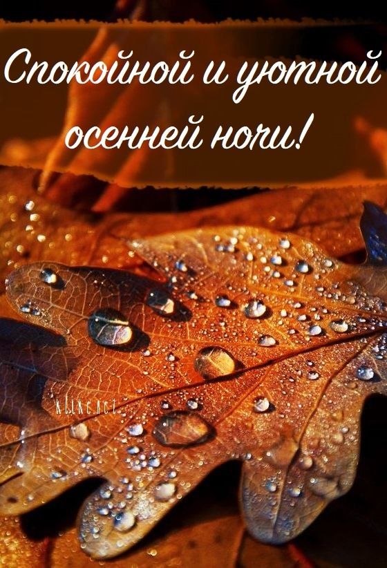 Открытка «Доброй ночи»: Спокойной ночи: осенний лист в каплях дождя. Тэги: Спокойной ночи, Спокойной ночи, с пожелани…