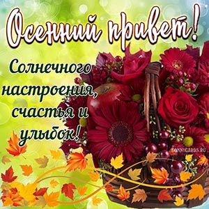 Открытка «Добрый день»: Добрый день: Осенний привет и солнечного настроения. Тэги: Добрый день и добрые пожелания…
