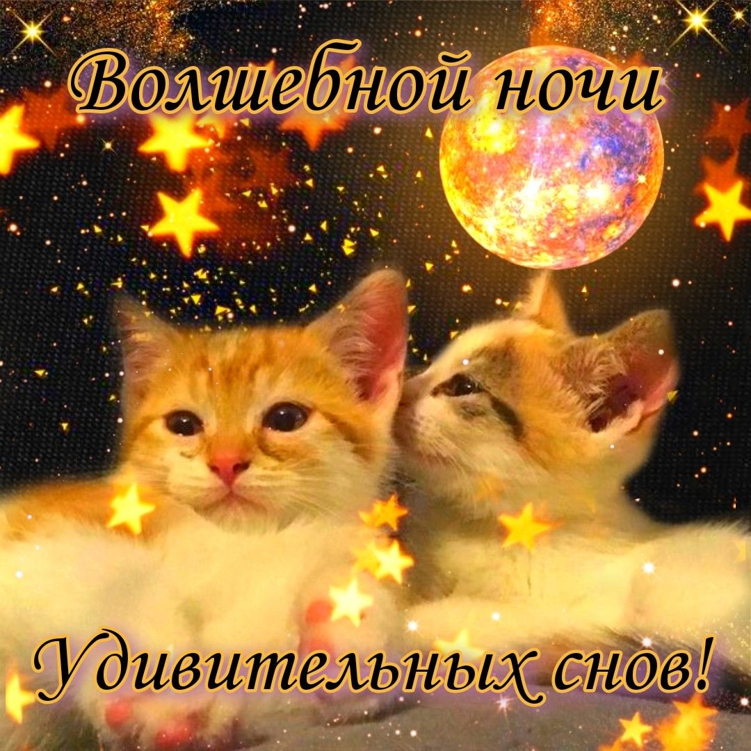 Открытка «Доброй ночи»: Спокойной ночи: Волшебной ночи и удивительных снов. Тэги: Спокойной ночи, Спокойной ночи…