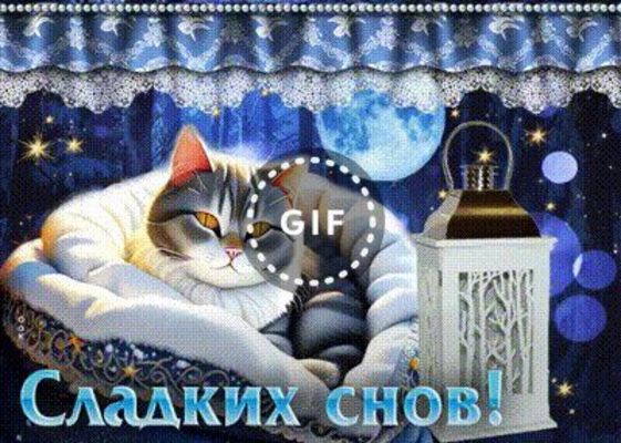 Открытка «Доброй ночи»: Спокойной ночи: Кот в корзинке и Сладких снов.