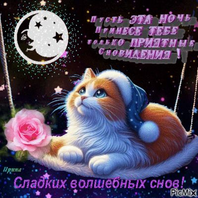 Открытка «Доброй ночи»: Спокойной ночи: Волшебная открытка с милым котом.