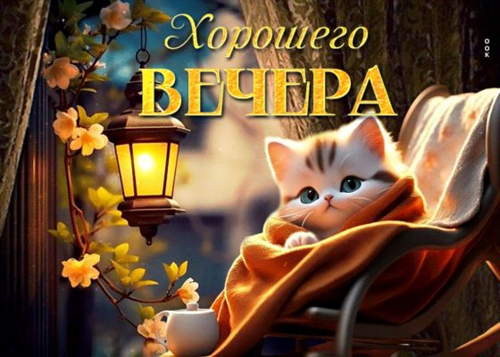 Открытка «Добрый вечер и пожелания»: Добрый вечер: милый котик с фонариком. Тэги: Прикольный добрый вечер, Доброго ве…