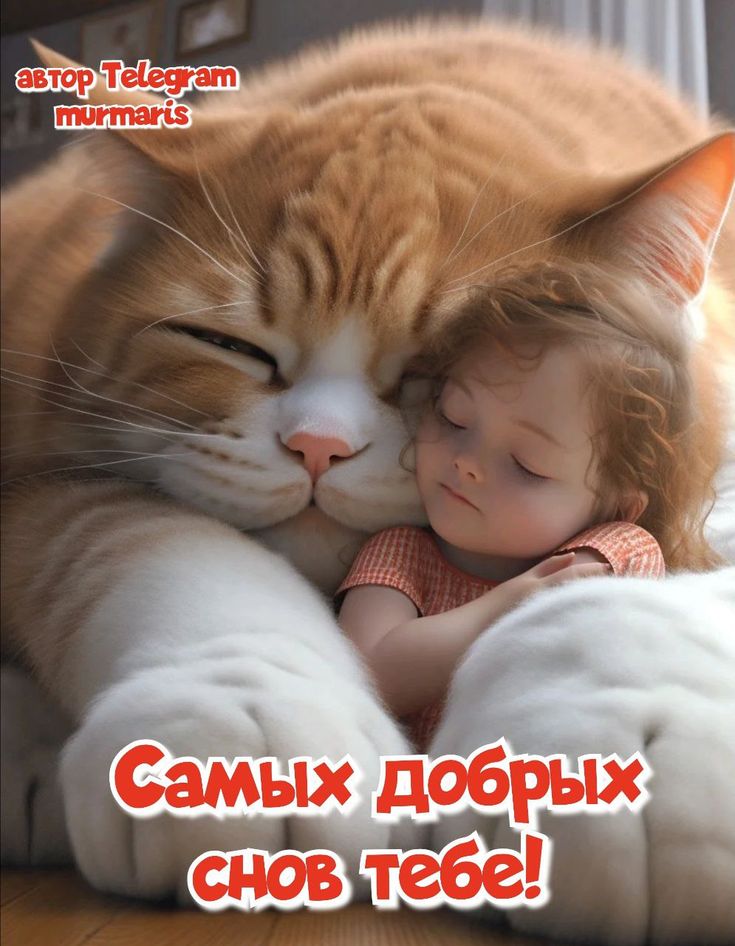 Открытка «Доброй ночи»: Доброй ночи: Самых добрых снов тебе!. Тэги: Спокойной ночи, Спокойной ночи, с пожеланиями…