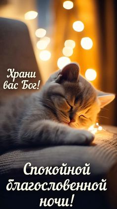 Открытка «Доброй ночи»: Спокойной ночи: мирно спящий котенок и божье благословение. Тэги: Спокойной ночи, христианский…