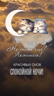 Открытка «Доброй ночи»: Спокойной ночи: Котята на месяце. Тэги: Спокойной ночи, Спокойной ночи, красивые, Спокойной н…