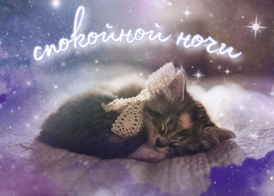 Открытка «Доброй ночи»: Спокойной ночи: спящий котенок в звездном небе. Тэги: Спокойной ночи, Спокойной ночи, красивые…