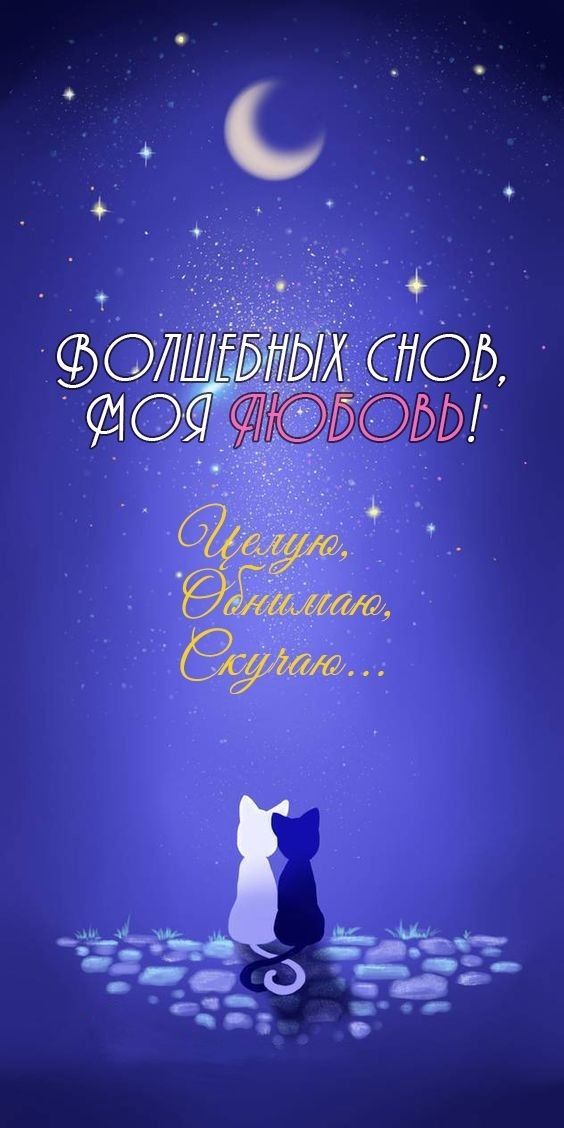 Открытка «Доброй ночи»: Спокойной ночи, моя любовь: картинка с котами. Тэги: Спокойной ночи, Доброй и спокойной ночи…