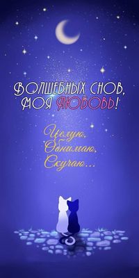 Открытка «Доброй ночи»: Спокойной ночи, моя любовь: картинка с котами. Тэги: Спокойной ночи, Доброй и спокойной ночи…