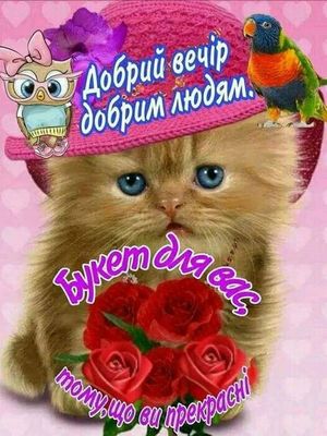Открытка «Добрый вечер и пожелания»: Добрый вечер: пушистый котик с букетом красных роз. Тэги: Добрый вечер женщине…
