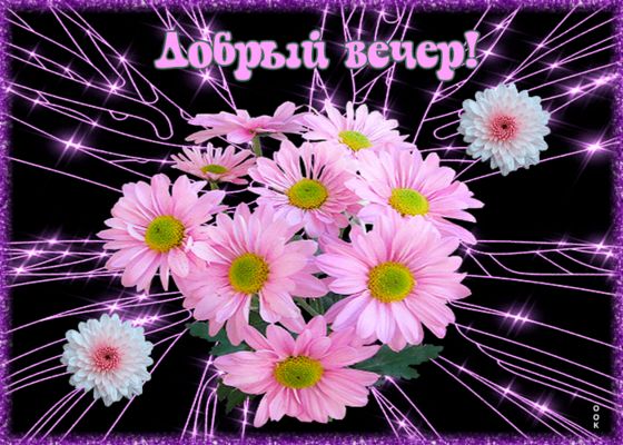Открытка «Добрый вечер и пожелания»: Добрый вечер: Нежные цветы и сияние для настроения. Тэги: Добрый вечер красивые…