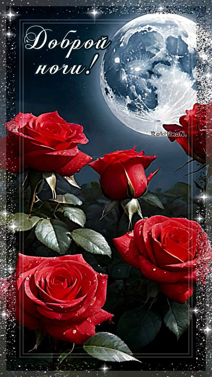 Открытка «Доброй ночи»: Доброй ночи: Красивые алые розы под полной луной. Тэги: Спокойной ночи, любимая женщина…