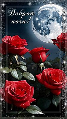 Открытка «Доброй ночи»: Доброй ночи: Красивые алые розы под полной луной. Тэги: Спокойной ночи, любимая женщина…