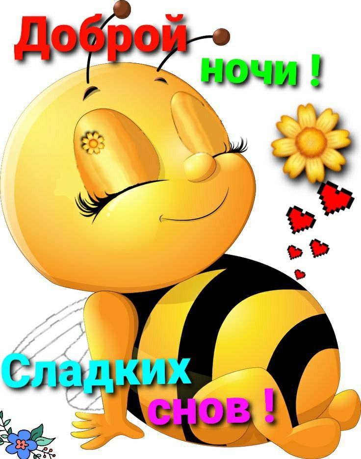Открытка «Доброй ночи»: Доброй ночи: Сладких снов от веселой пчелки. Тэги: Спокойной ночи, пожелание, радость, смешной…