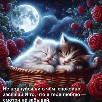 Открытка «Доброй ночи»: Спокойной ночи: котята в корзине с розами. Тэги: Спокойной ночи, Спокойной ночи, красивые…