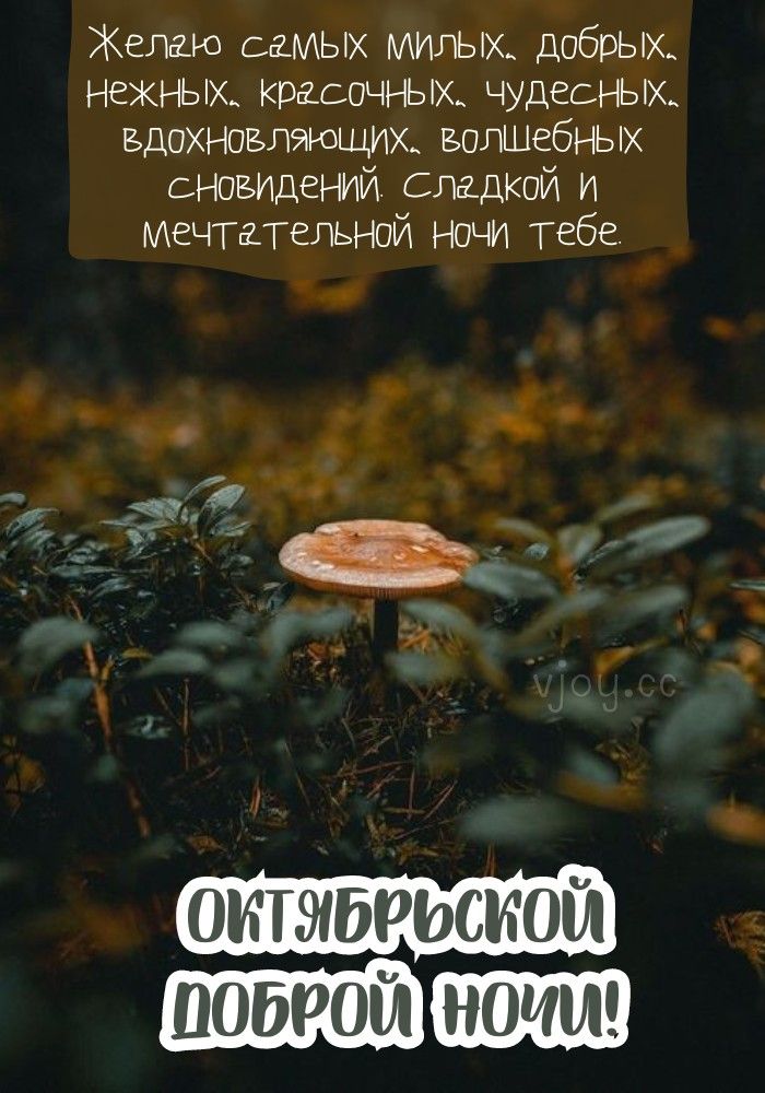 Открытка «Доброй ночи»: Октябрьской доброй ночи: пожелание сладких снов.