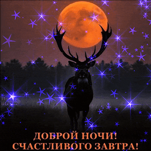Открытка «Доброй ночи»: Доброй ночи: Счастливого завтра и волшебный олень. Тэги: Спокойной ночи, Спокойной ночи…