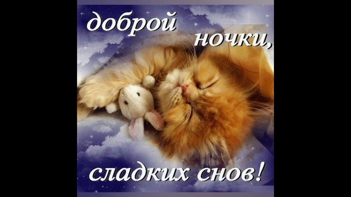 Открытка «Доброй ночи»: Доброй ночи: «Рыжий кот и сладкие сны». Тэги: Спокойной ночи, Спокойной ночи, с пожеланиями…