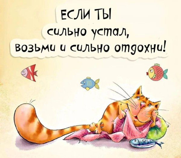 Открытка «Наклейка»: Добрый вечер: мудрый кот и пожелание отличного отдыха. Тэги: Добрый вечер и пожелания, Прикольны…