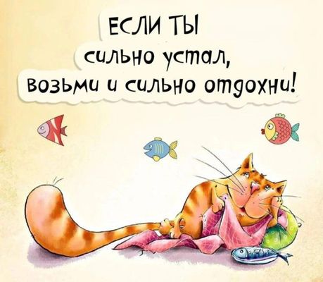 Открытка «Пожелание»: Добрый вечер: мудрый кот и пожелание отличного отдыха. Тэги: отличный, настроение, забавный, кот…