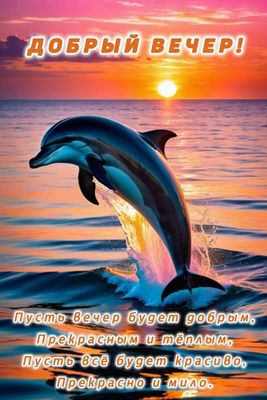 Открытка «Добрый вечер и пожелания»: Добрый вечер: «Дельфин на закате» пожелание. Тэги: Добрый вечер красивые, Доброг…