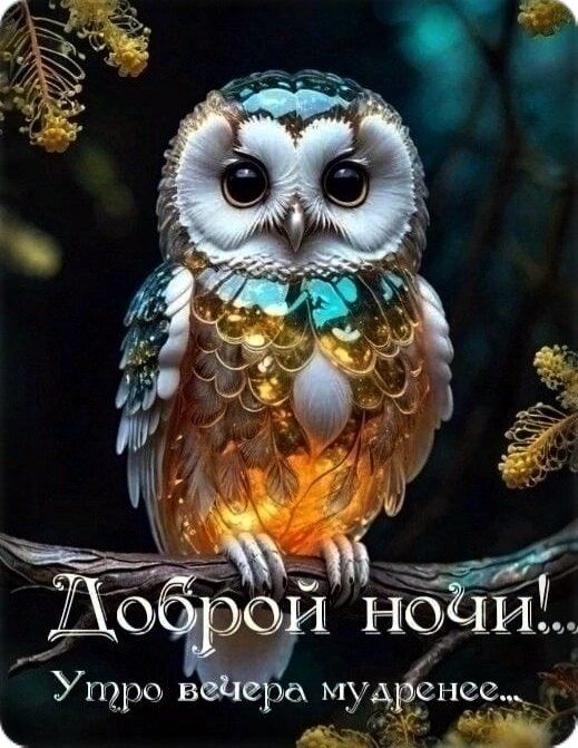 Открытка «Доброй ночи»: Доброй ночи: мудрая сова и пожелание сладких снов.