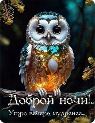 Открытка «Доброй ночи»: Доброй ночи: мудрая сова и пожелание сладких снов.