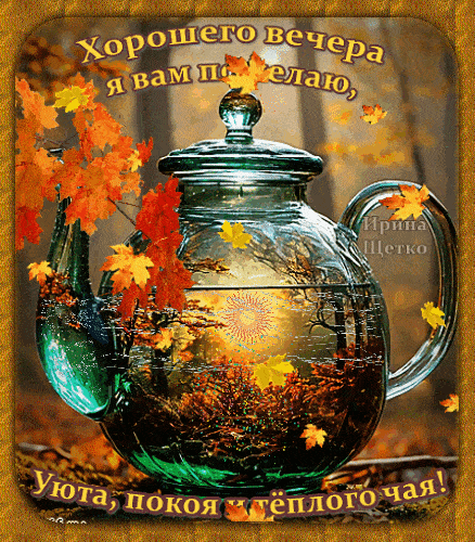 Открытка «Добрый вечер и пожелания»: Добрый вечер: «Уют и теплый чай» в осеннем лесу. Тэги: Доброго вечера и хорошего…