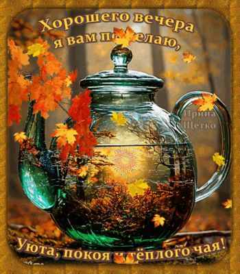 Открытка «Добрый вечер и пожелания»: Добрый вечер: «Уют и теплый чай» в осеннем лесу. Тэги: Доброго вечера и хорошего…