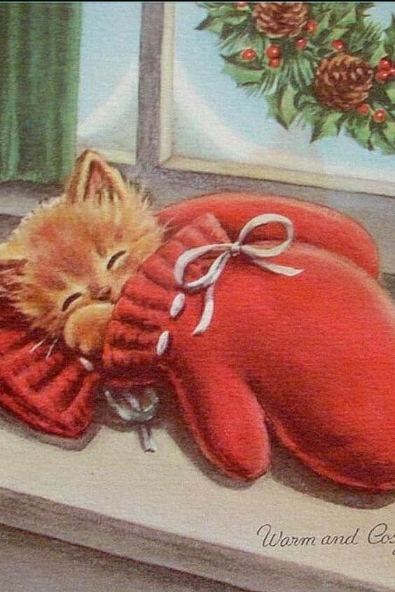 Открытка «С добрым утром»: С добрым утром: уютный котенок в варежке. Тэги: Добрый день, С добрым зимним утром, С добр…