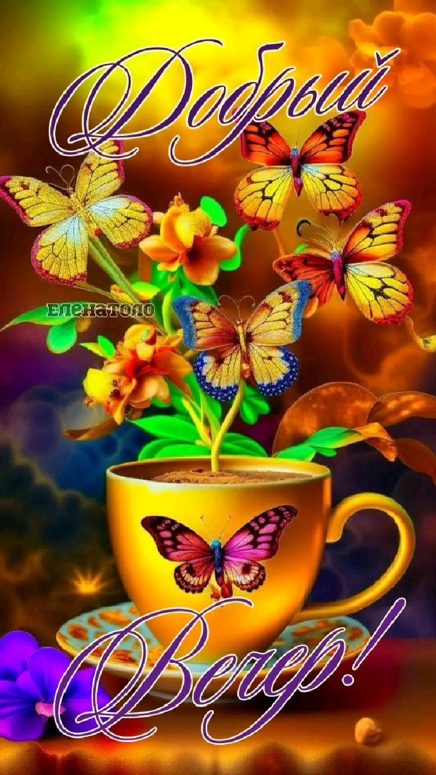 Открытка «Добрый вечер и пожелания»: Добрый вечер: чашка тепла и яркие бабочки. Тэги: Доброго вечера и хорошего настр…