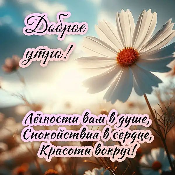 Открытка «С добрым утром»: С добрым утром: милая ромашка и душевное пожелание. Тэги: С добрым утром, для поднятия нас…