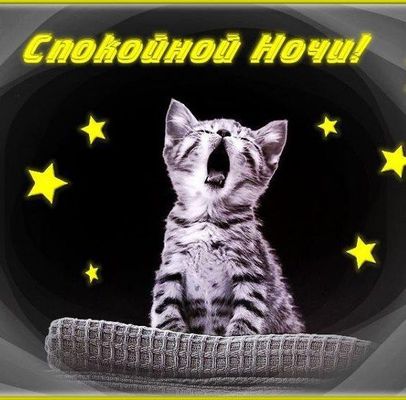 Открытка «Доброй ночи»: Спокойной ночи: милый котик и звездное небо. Тэги: Спокойной ночи, Спокойной ночи, с пожелани…