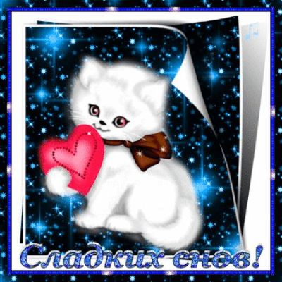 Открытка «Доброй ночи»: Спокойной ночи: «Сладких снов» с милым белым котиком. Тэги: Спокойной ночи, Спокойной ночи…
