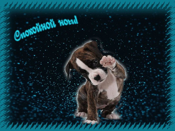 Открытка «Доброй ночи»: Спокойной ночи: милый щенок на звездном небе. Тэги: Спокойной ночи, Спокойной ночи, с пожелан…
