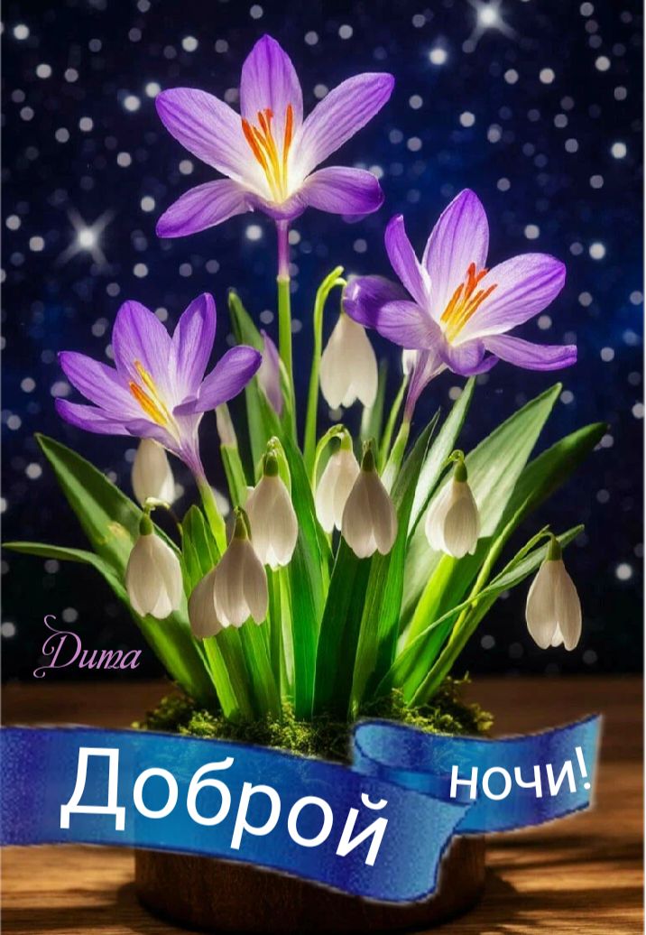 Открытка «Доброй ночи»: Доброй ночи: «Фиолетовые первоцветы» под звездным небом. Тэги: Спокойной ночи, Спокойной ночи…