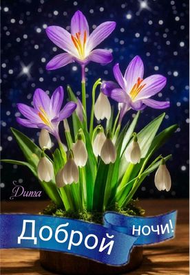 Открытка «Доброй ночи»: Доброй ночи: «Фиолетовые первоцветы» под звездным небом. Тэги: Спокойной ночи, Спокойной ночи…