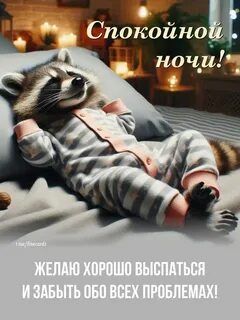 Открытка «Доброй ночи»: Доброй ночи: милый енот в пижаме желает сладких снов.