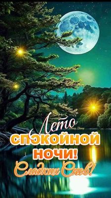 Открытка «Доброй ночи»: Спокойной ночи: лето, луна и звездная ночь. Тэги: Спокойной ночи, Спокойной ночи, красивые…