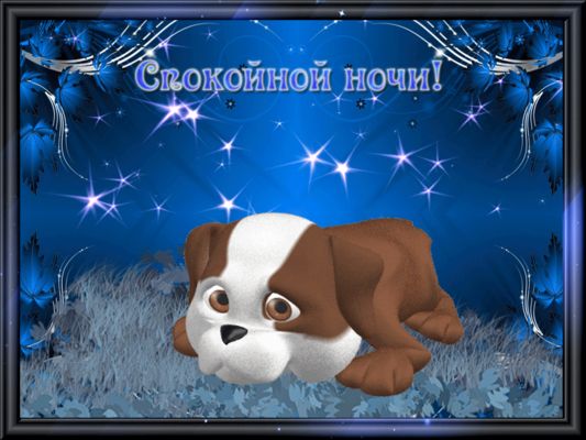 Открытка «Доброй ночи»: Спокойной ночи: милый песик и звездное небо. Тэги: Спокойной ночи, Спокойной ночи, с пожелани…