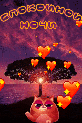 Открытка «Доброй ночи»: Спокойной ночи: Романтичный закат и сонный котик. Тэги: Спокойной ночи, Спокойной ночи…
