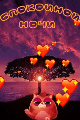 Открытка «Доброй ночи»: Спокойной ночи: Романтичный закат и сонный котик. Тэги: Спокойной ночи, Спокойной ночи…