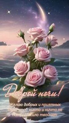 Открытка «Доброй ночи»: Спокойной и доброй ночи: «Розы на берегу моря». Тэги: Спокойной ночи, Спокойной ночи, красивые…