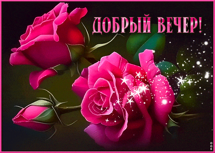 Открытка «Добрый вечер и пожелания»: Добрый вечер: Красивые розовые розы с блестками. Тэги: Добрый вечер красивые…